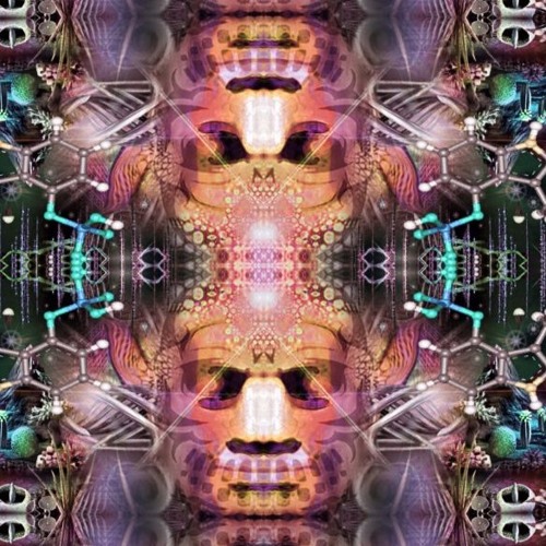 Skrillex Burn Dem Trancient Dreams Remix