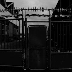 Bridge (feat. DJ Rikster)