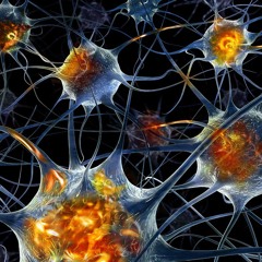 NeuroControl