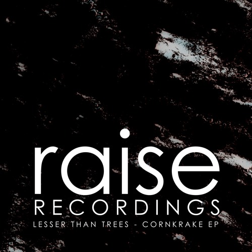 Roll With It – Snippet