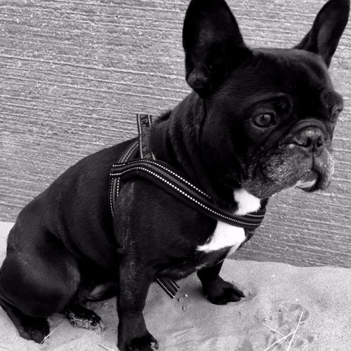 Silly Saturday Deep House Set (Inspired by Maceo Plex)