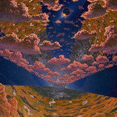 one year of dreaming in reverse