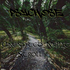 Unexepted Night Stroll [Free Download]