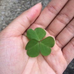 Tình thôi xót xa- draft