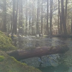 Head in the Ceiling Fan (Cover)