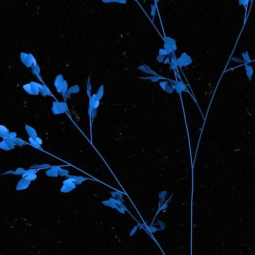 BANKS - Crowded Places (Alternate Version) by BANKSRemixes | Banks ...