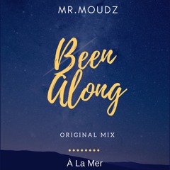 Mr.MoudZ - Been Along (Original Mix )