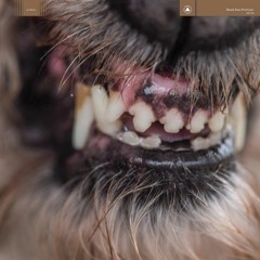 Blanck Mass - Please (Bockman Redo)