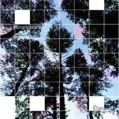 Memory Ln - Gnarly Marley x Élan (Prod. by Tee Romano)