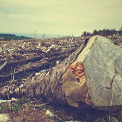 Of A Torn Sober Siren - Movement 4