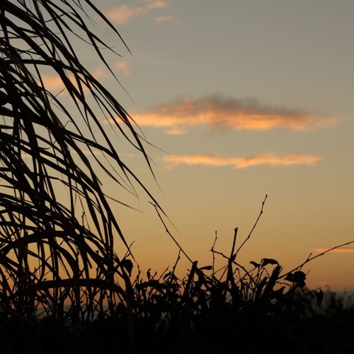 Flora Cash - The Bad Boys (Q o d ë s  remix)