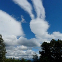 Siri's Ostersonntag Brunch