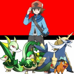 Victory Is Right Before Your Eyes! (Gym Leader's Last Pokémon) - Pokémon Black & White