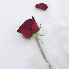 Pela Luz Dos Olhos Teus ~ Tom Jobim