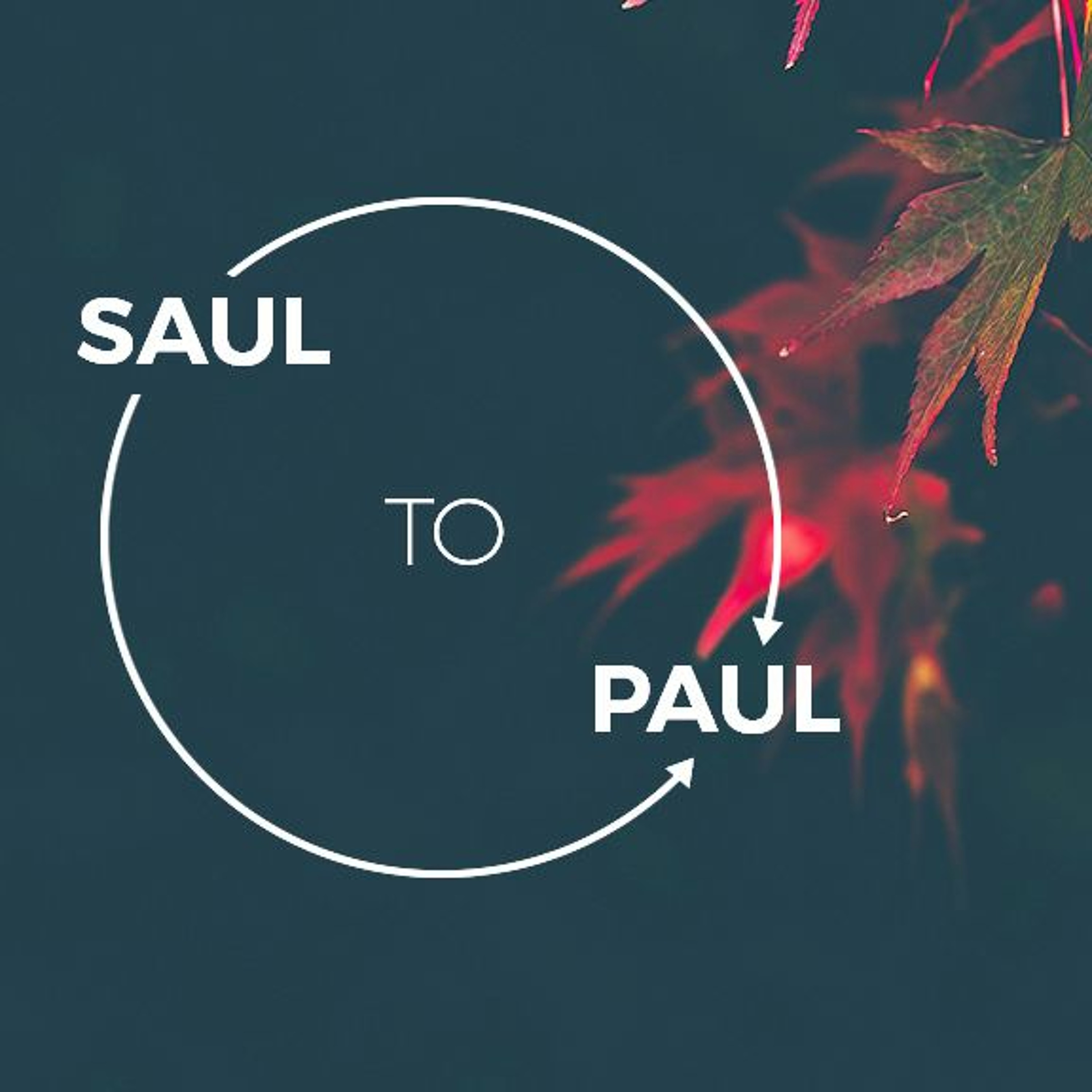 Saul To Paul | Acts 7:54 - 8:3 | Chris | Sunday 23rd April 2017