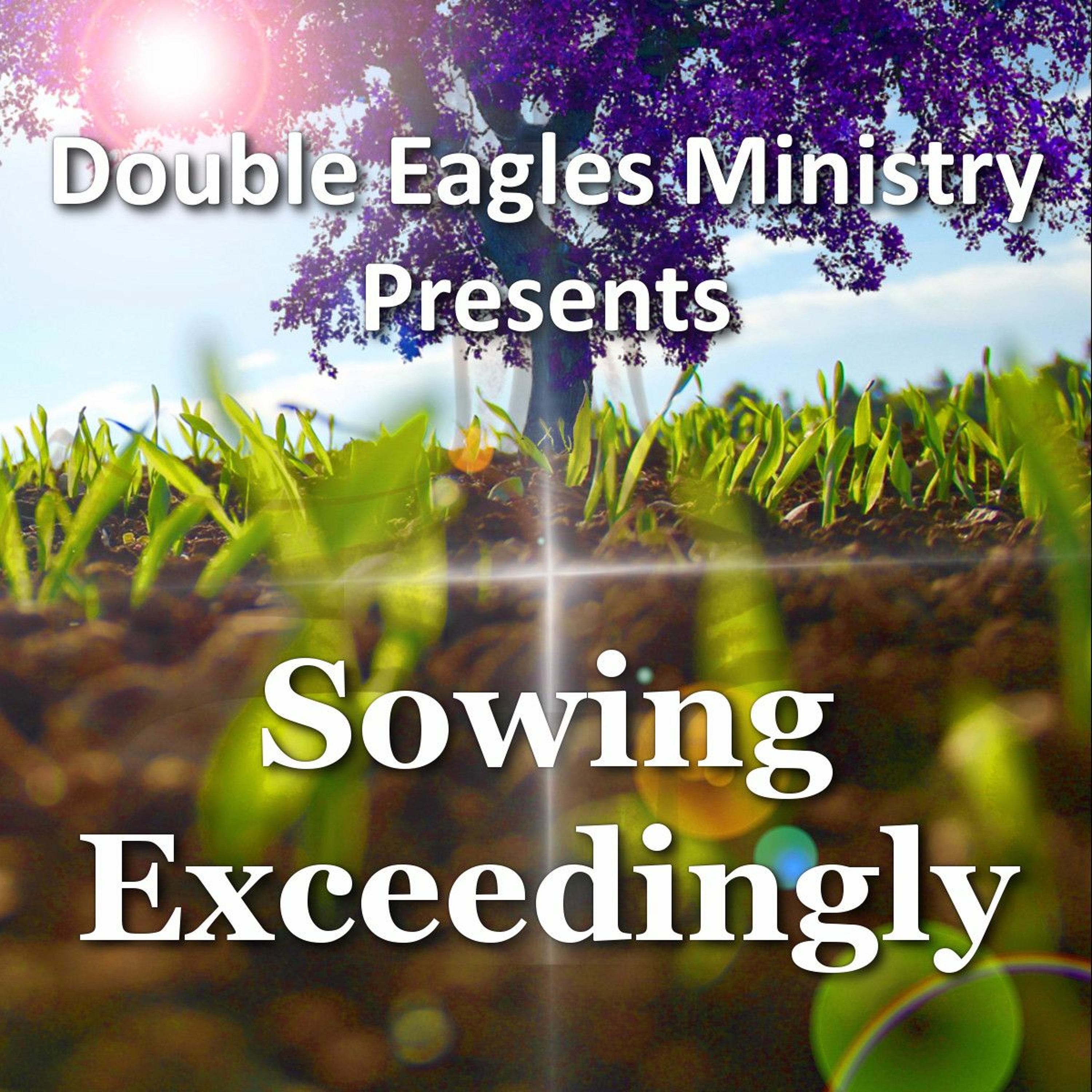 Sowing Exceedingly episode artwork