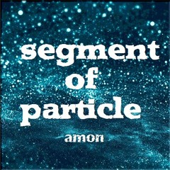 amon - segment of particle