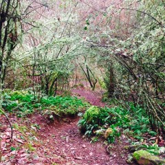 All My Lovin - The Beatles cover