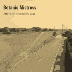 [M3 2017 Spring コ-21b] After Shelving Barley Bags EP (Crossfade)