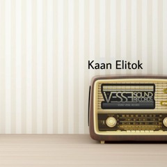 SVR Deep Podcast 022 By Kaan Elitok