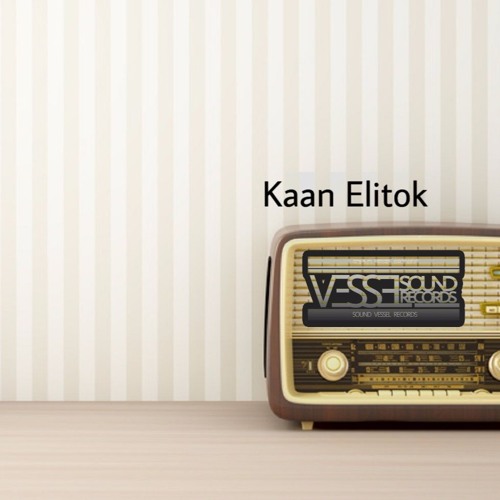 SVR Deep Podcast 022 By Kaan Elitok