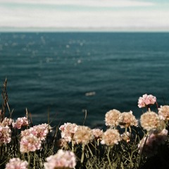 ☆The Fragrance And Colors Of Spring Mix April 2017 By Nobu Furukawa☆