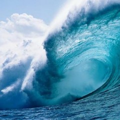 Kold Blooded $ouljah