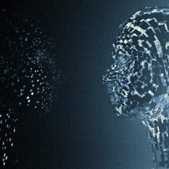 Simulation Reality