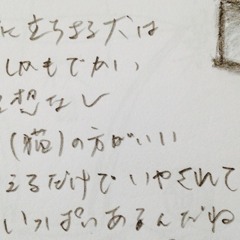 busakawa (Live in Joetsu Memory 2017.4.22)