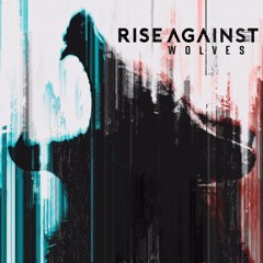 Rise Against - The Violence (Cover)