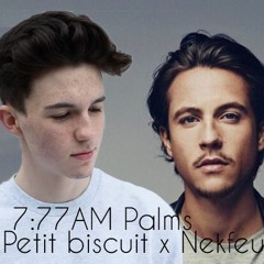 Petit Biscuit vs Nekfeu (D3B Music Mashup)