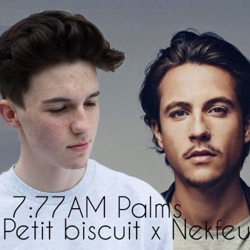 Petit Biscuit vs Nekfeu (D3B Music Mashup)