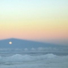 YYPR x Cézanne - Die Stiltes Van Jou Hart