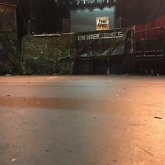 10 Years MinimalRockers @ das Rind, Rüsselsheim 22.04.2017