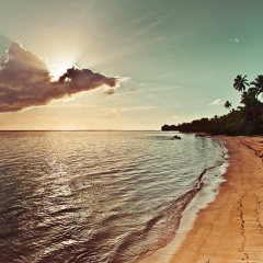 Paradise Island