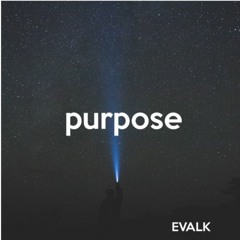 Evalk - Purpose ($aM Radio Release 015)