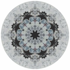 B1. Unknown Artist - Namedni