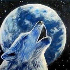 Late Night sessions - BTC