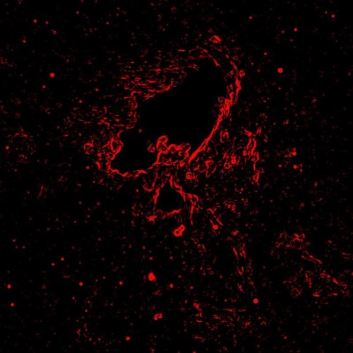 Misses & Mister X - Dub In Space (FREE)