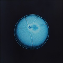 Submarine Sun 24 - Bit