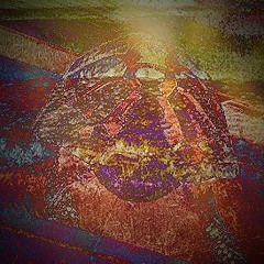 Guitarman "Blitzter"