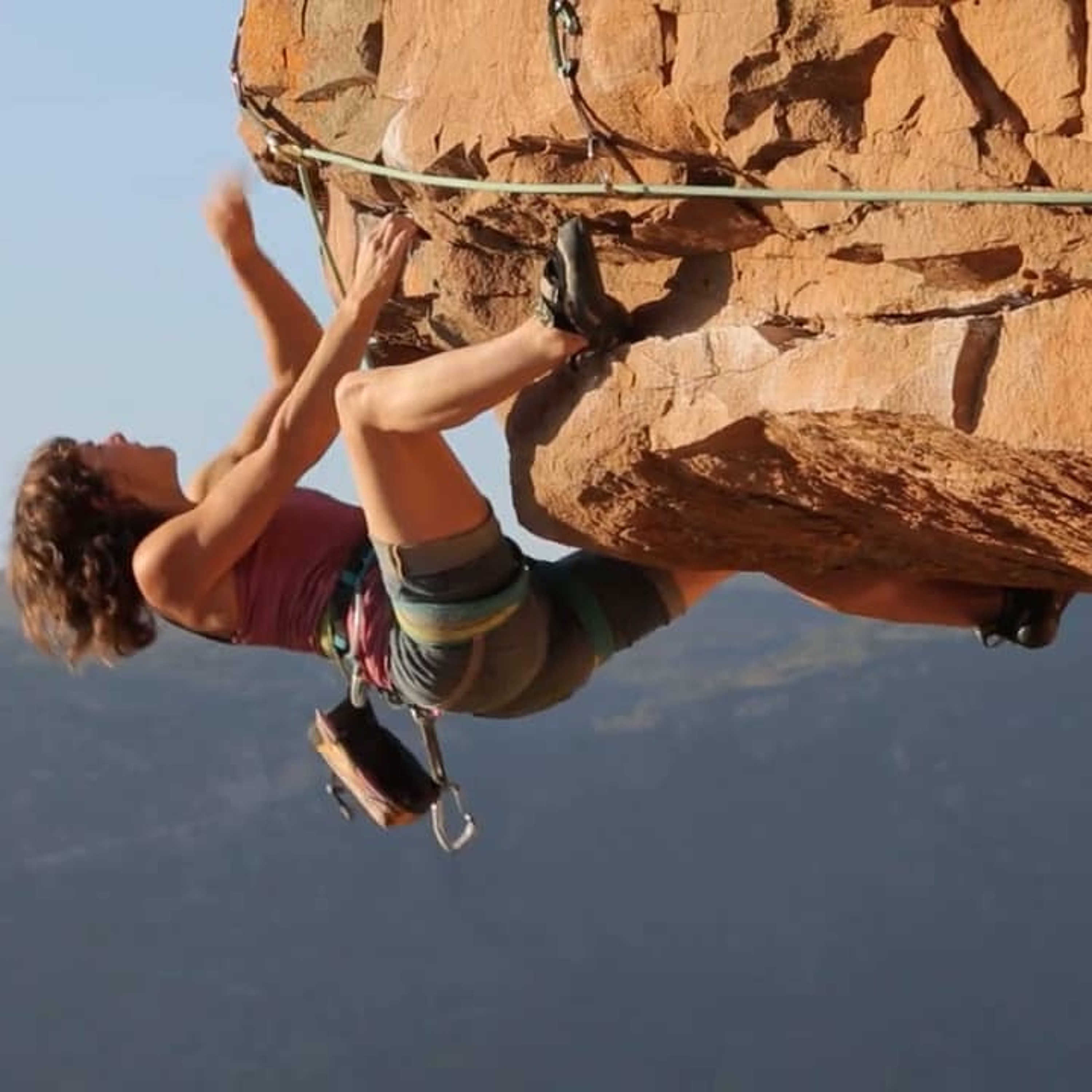 KATIE LAMBERT 'A Bird's Perspective'