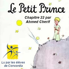 Le petit prince, Chapitre 22