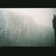 Поезд 193 (А. Башлачёв Кавер)