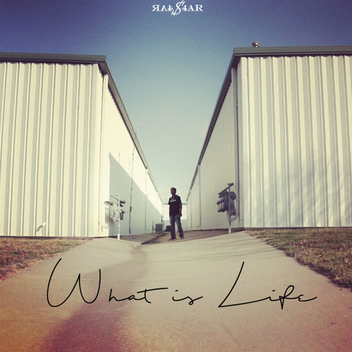 Stream What Is Life by Steven4AReason Listen online for free on