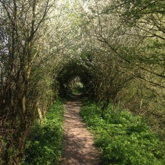 Amante - Liquid DnB, Spring 2017