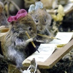 Răzvan Zlăvog - Şoricel de bibliotecă | Povești citite de părinți