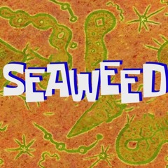 SpongeBob Production Music - Seaweed