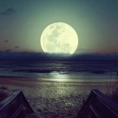 The Last Wave - Written by Ben Newman Piano by Meg Beese