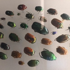 Tron Legacy Intro feat; Josh Paradise